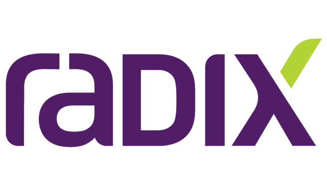 Radix Engineering and Software